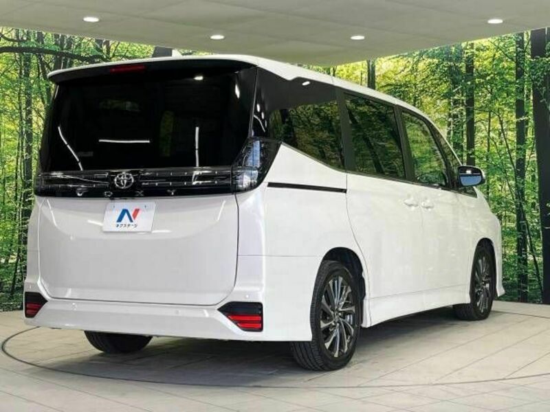VOXY-17