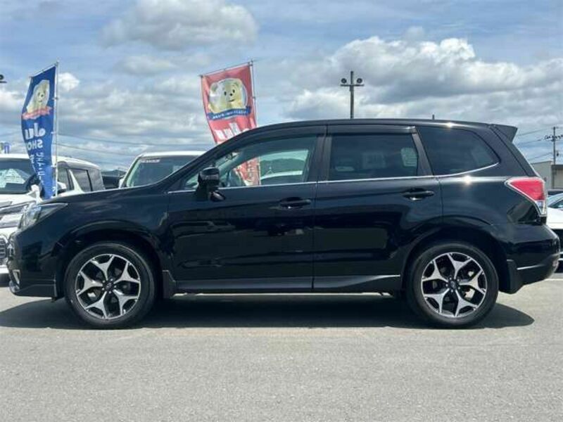 FORESTER