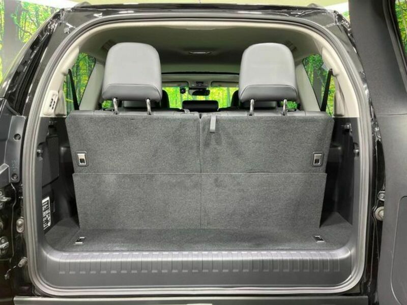 LAND CRUISER PRADO-10