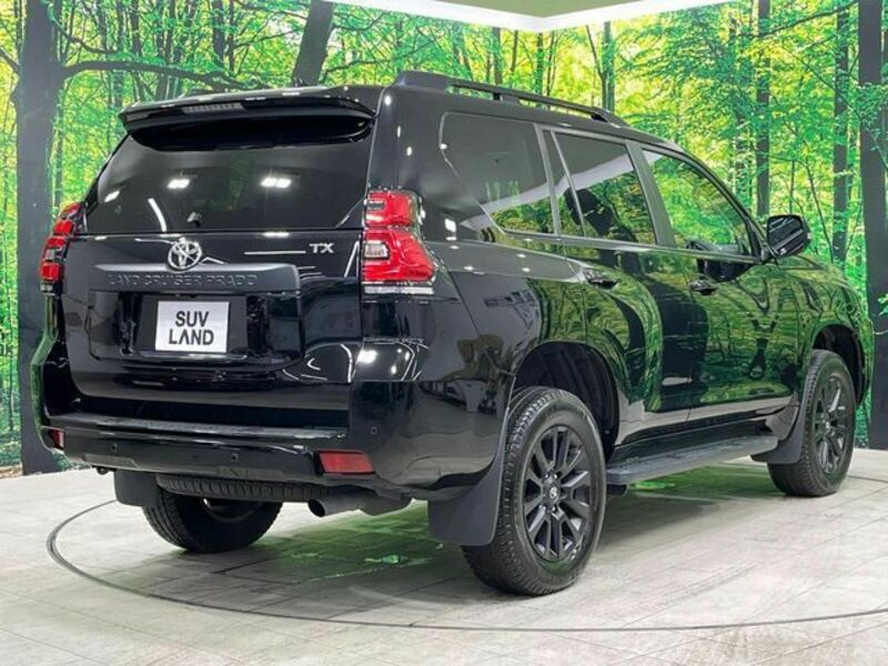 LAND CRUISER PRADO-17
