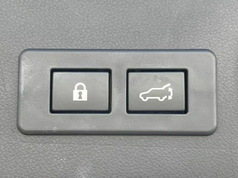 LEVORG-3