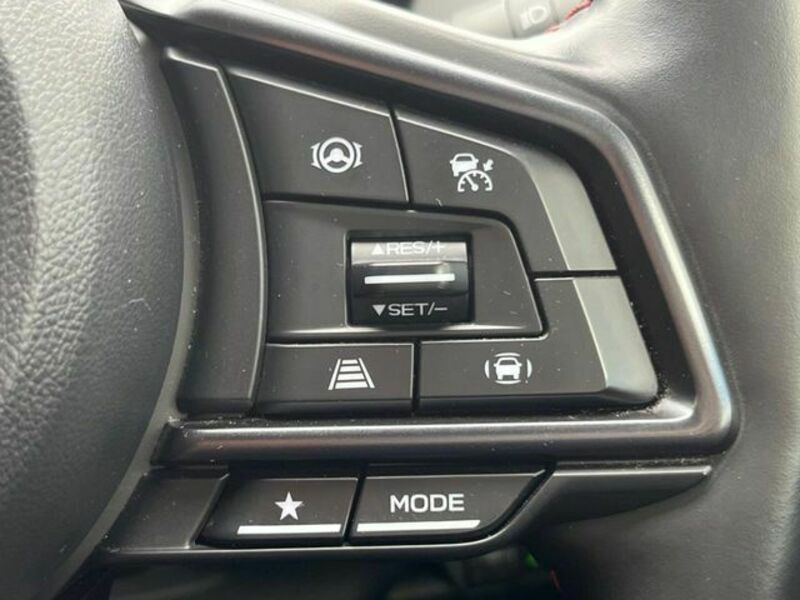 LEVORG-4