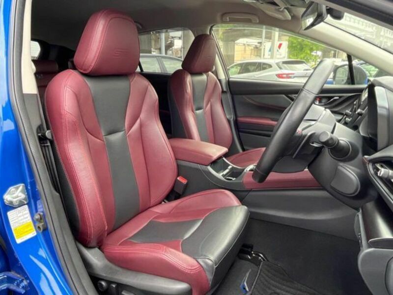 LEVORG-8