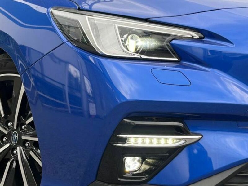 LEVORG-13
