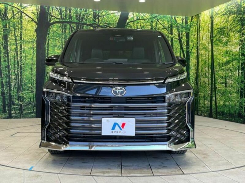 VOXY-14