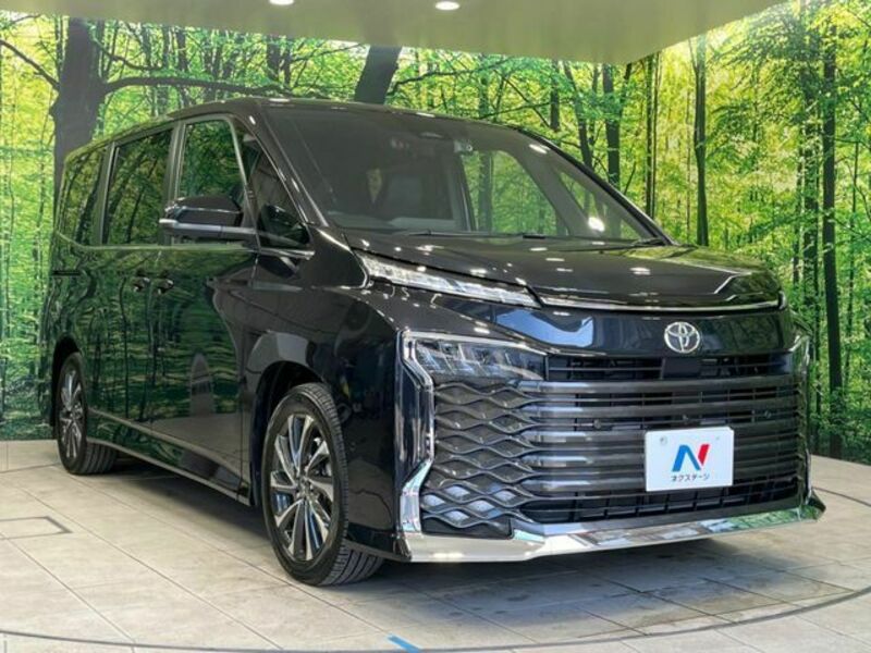 VOXY-16