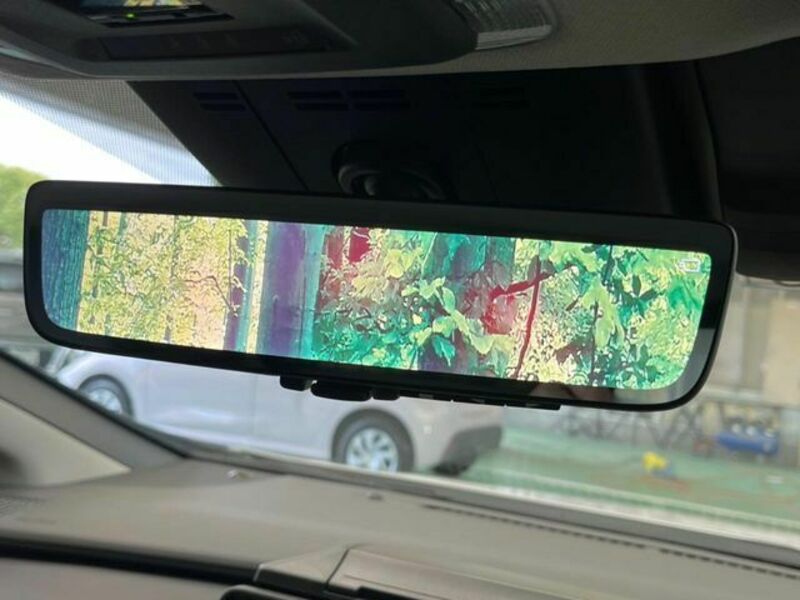 PRIUS-6
