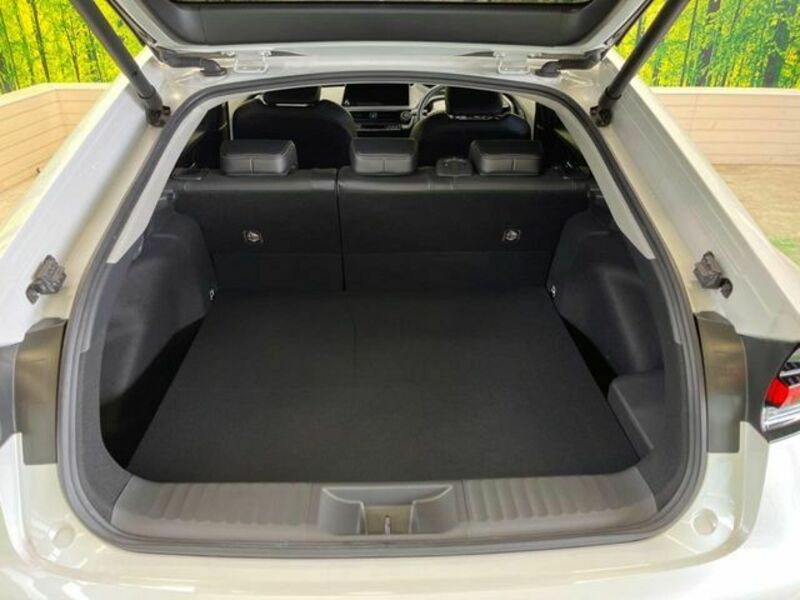 PRIUS-10