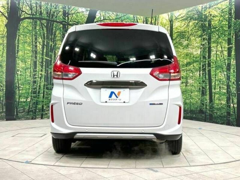 FREED HYBRID-16