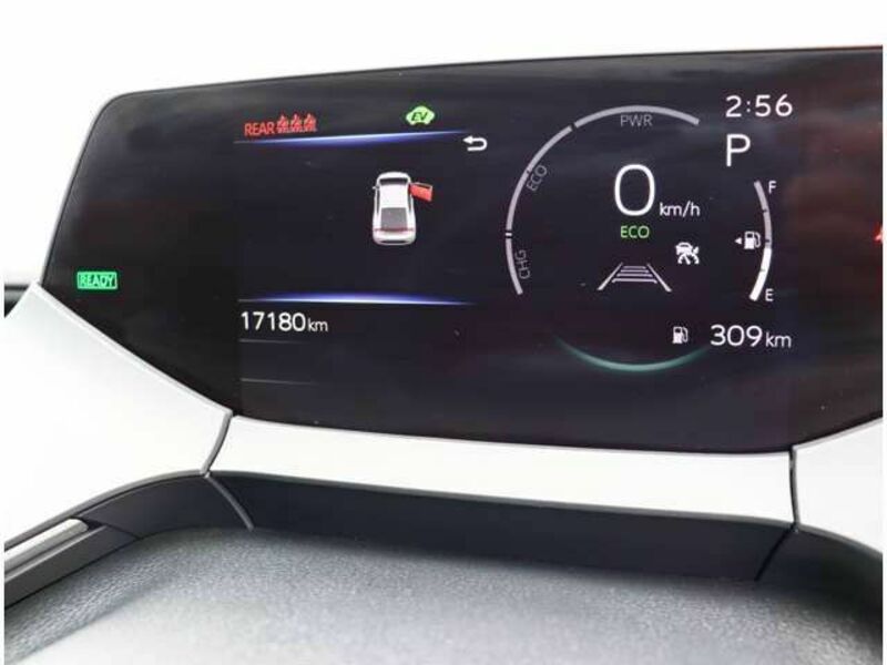 PRIUS-15