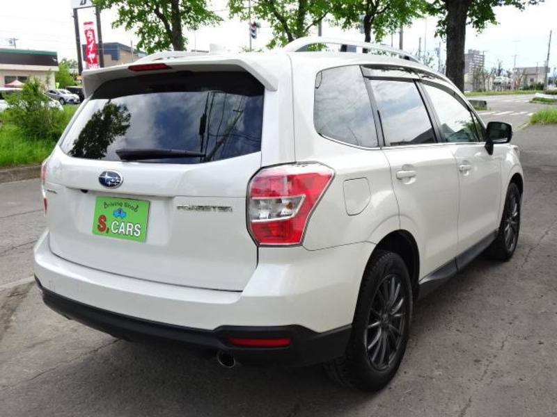 FORESTER-14