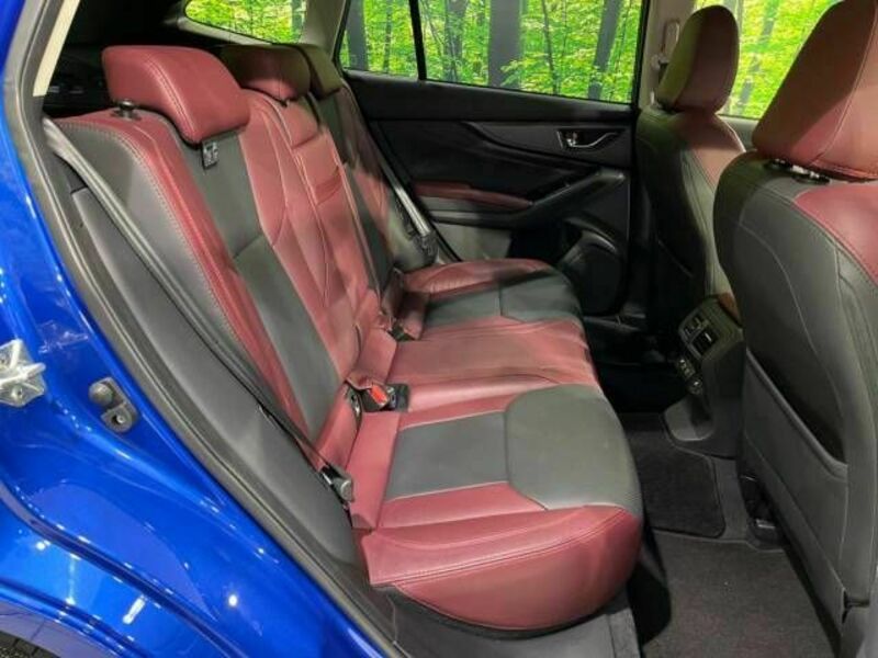 LEVORG-8