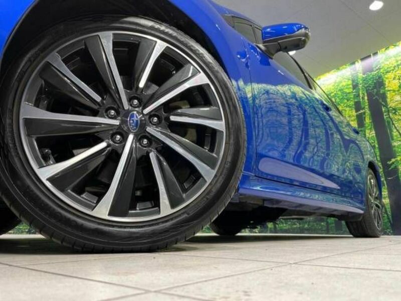 LEVORG-12