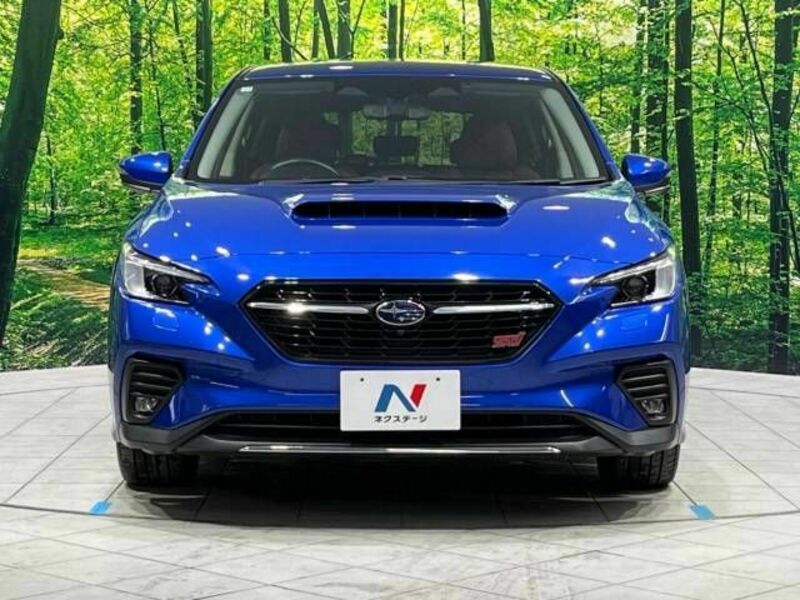 LEVORG-13