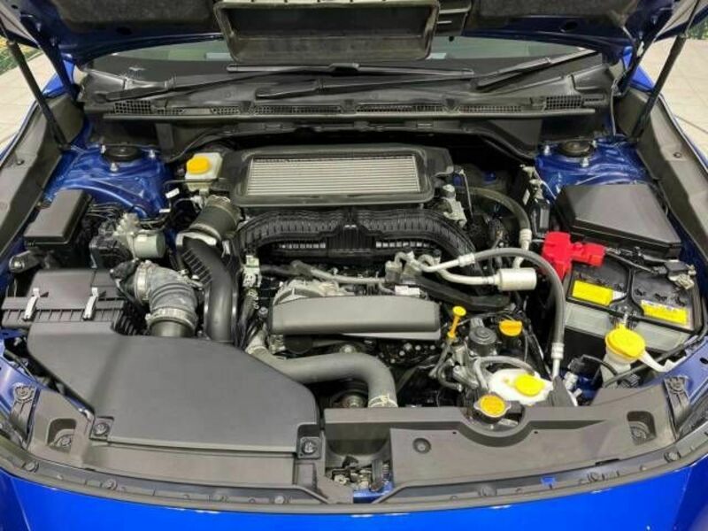 LEVORG-17