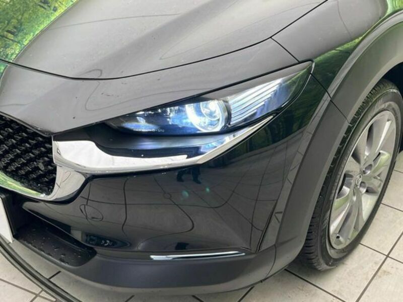 CX-30