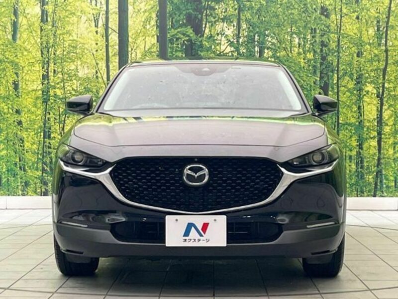 CX-30