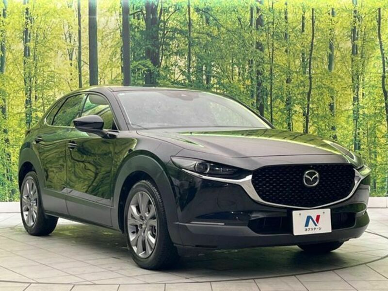 CX-30