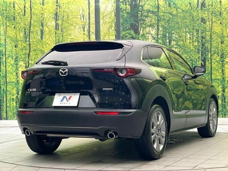 CX-30