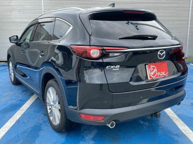 CX-8