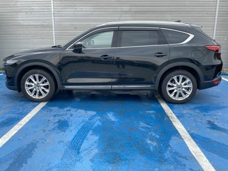 CX-8