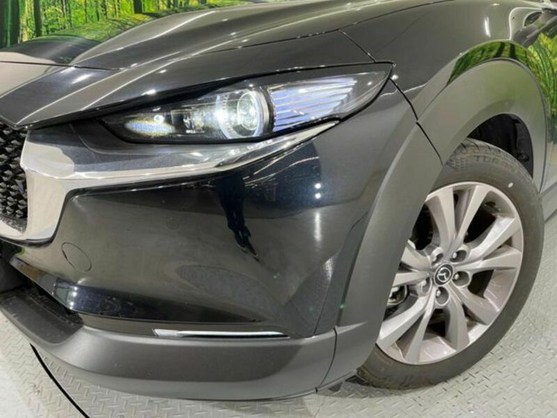 CX-30