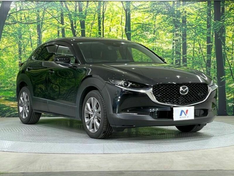 CX-30