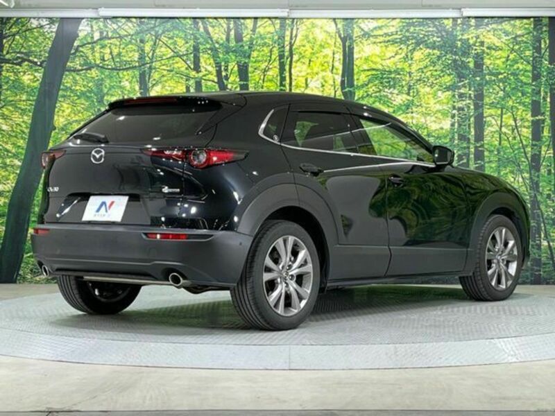 CX-30