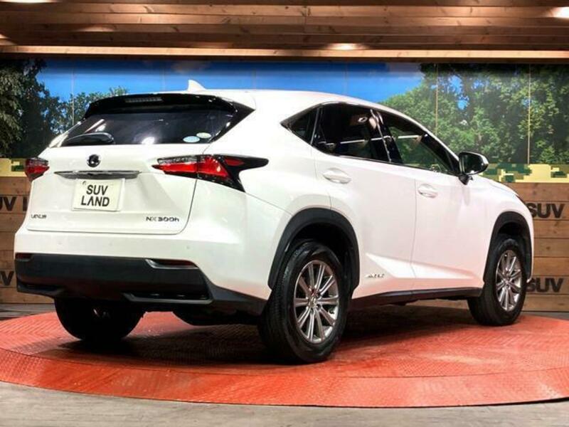 NX