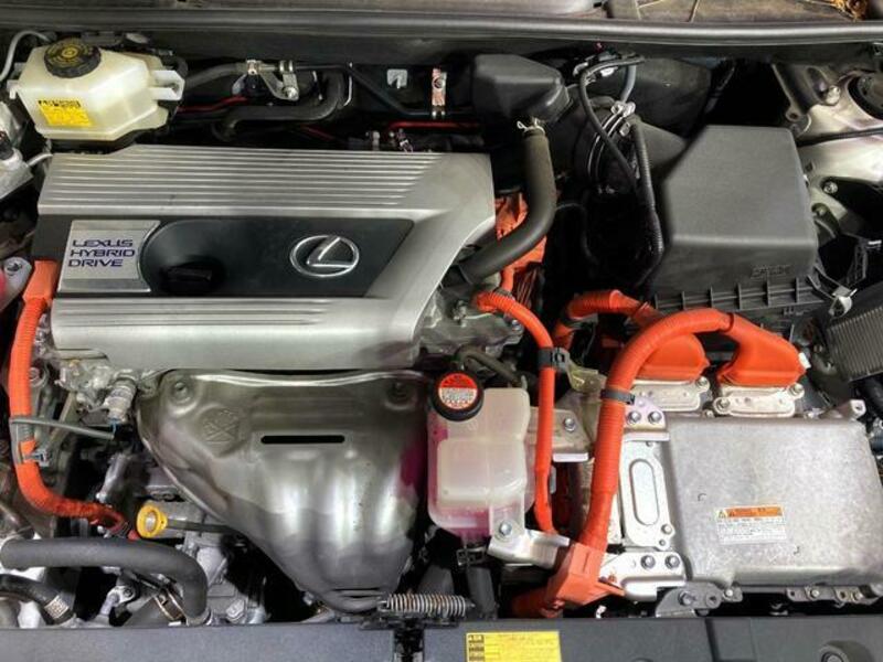 NX