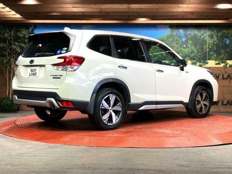 FORESTER