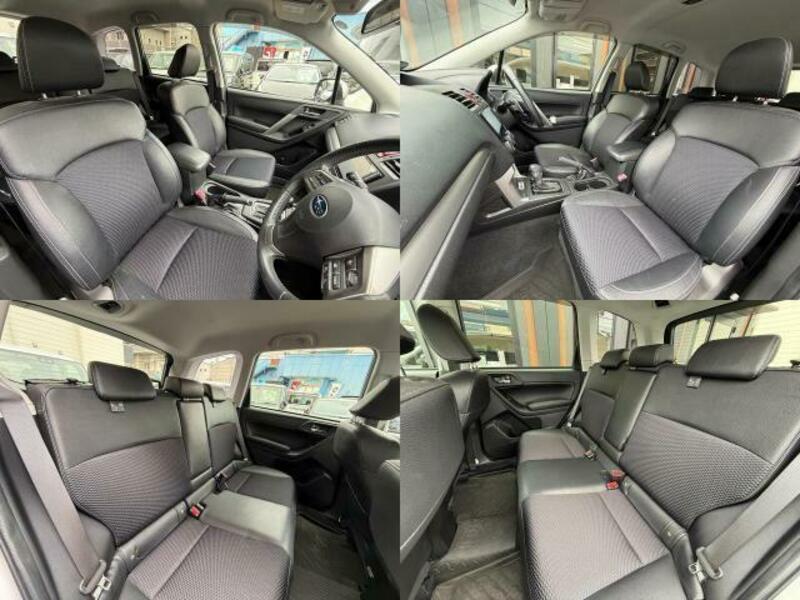 FORESTER-6