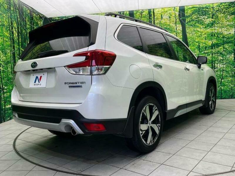 FORESTER