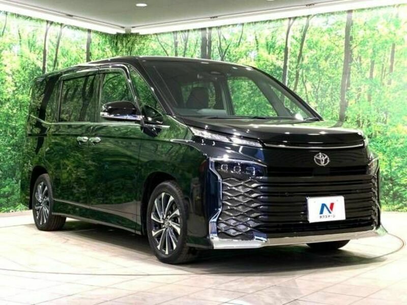 VOXY-17
