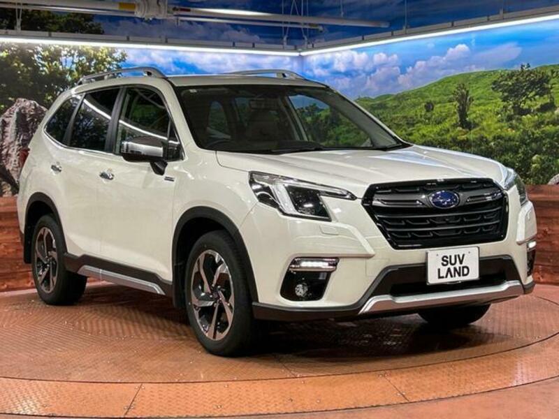 FORESTER