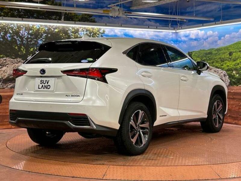 NX