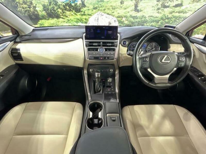 NX