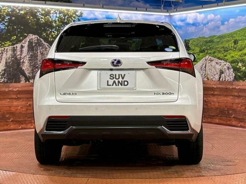 NX
