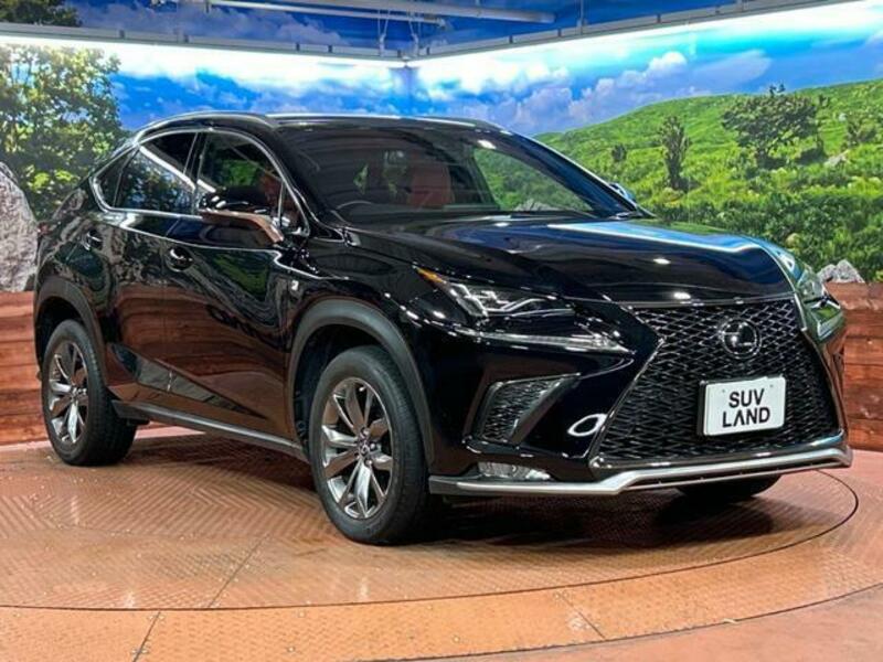 NX