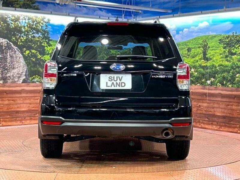 FORESTER-15