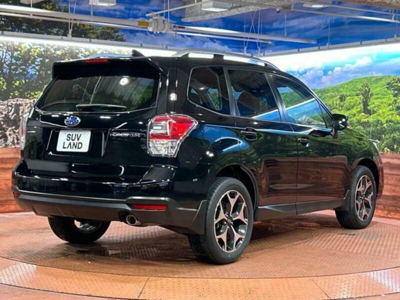 FORESTER-17