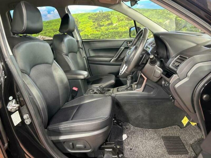 FORESTER-8