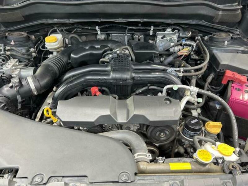 FORESTER-19