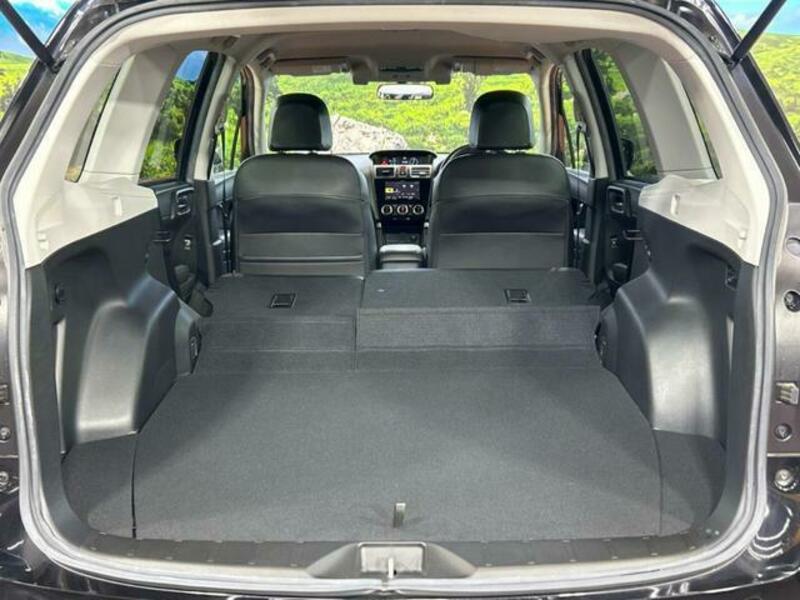 FORESTER-10