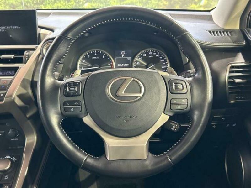 NX