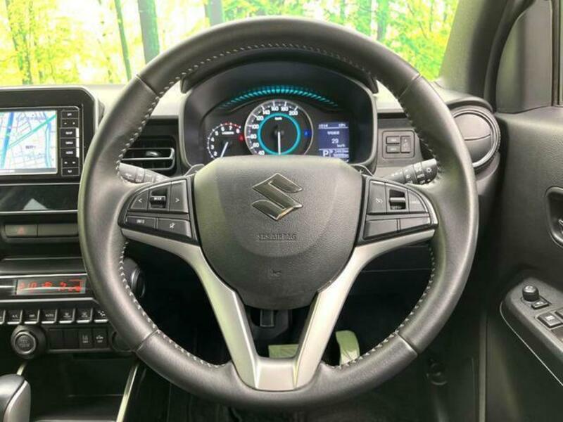 IGNIS-10