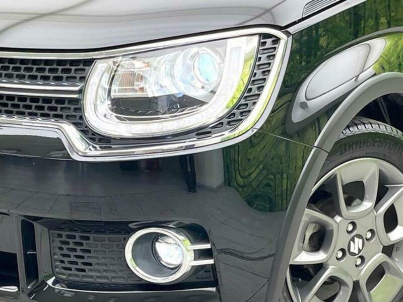 IGNIS-11