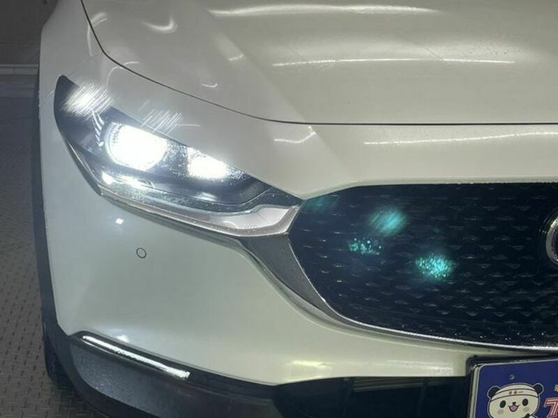 CX-30