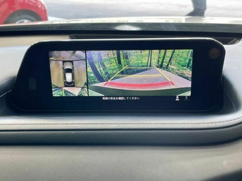 CX-30
