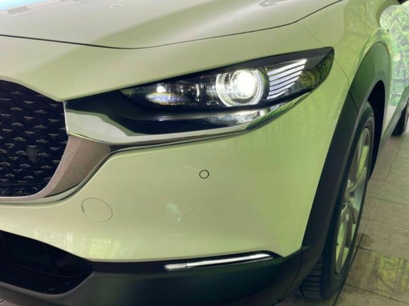 CX-30